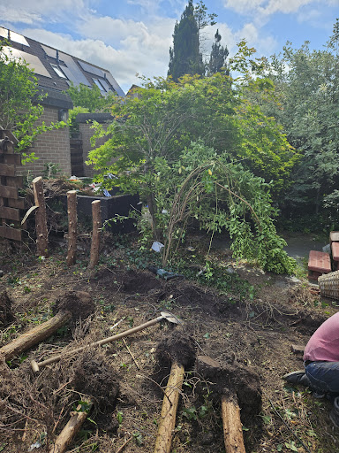 Photo from customer review